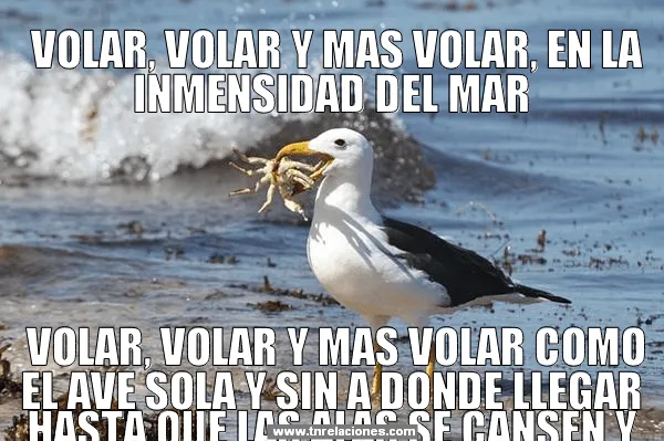 Soledad - TnRelaciones