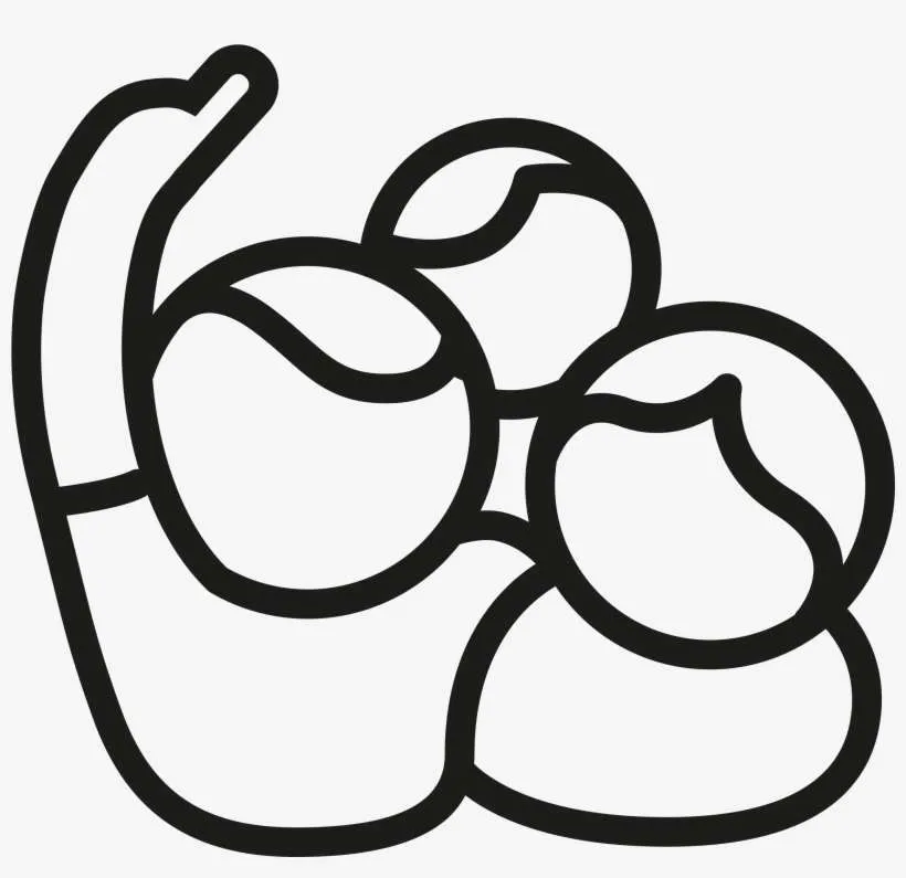 Solidaridad Para Celebrar Los Derechos - Line Art PNG Image | Transparent PNG Free Download on SeekPNG Solidaridad Para Celebrar Los Derechos - Line Art PNG Image | Transparent PNG Free Download on SeekPNG