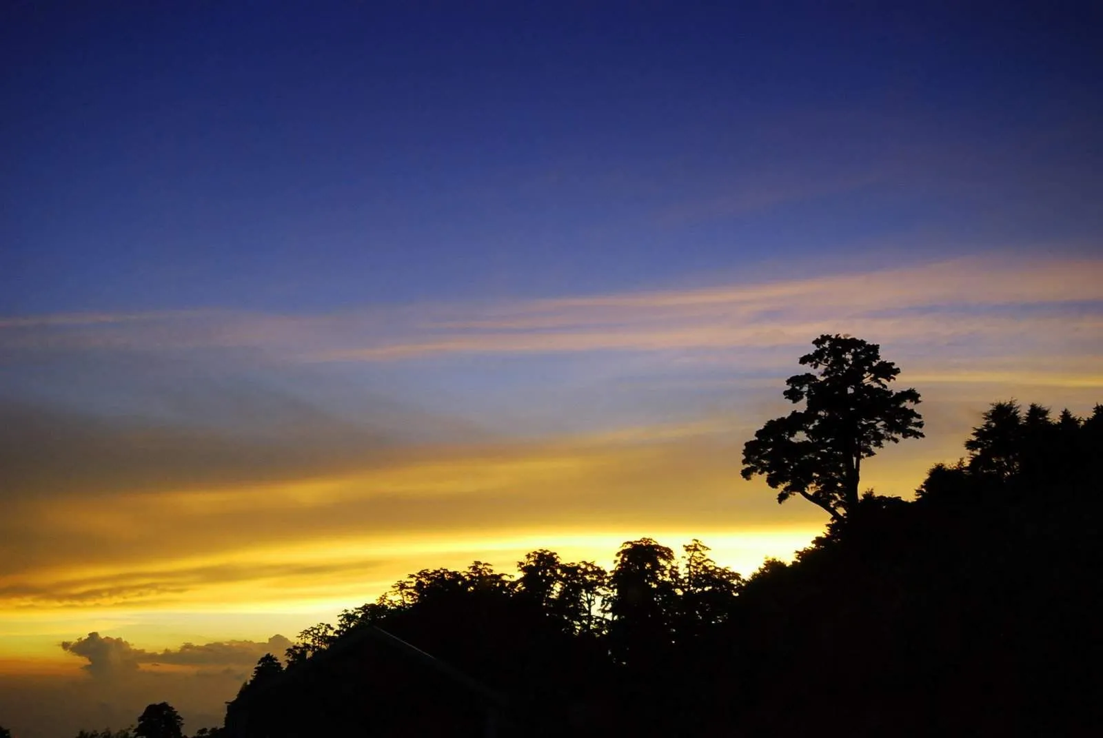 Solitary Dog Sculptor I: Landscapes - Paisajes: Skys - Cielos - Part 2