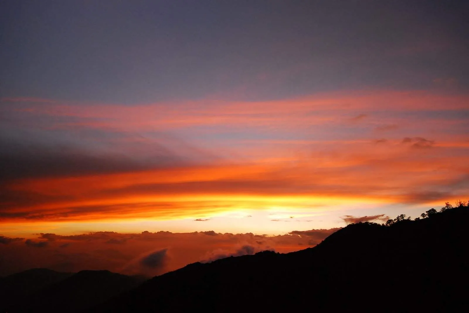 Solitary Dog Sculptor I: Landscapes - Paisajes: Skys - Cielos - Part 2