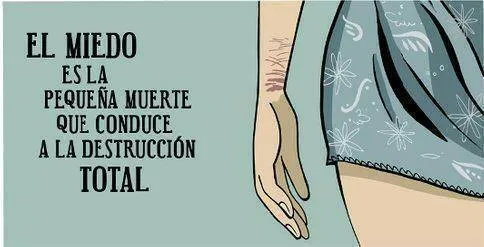 solotusfrases