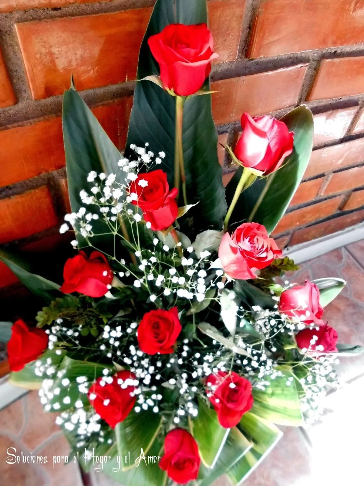 Soluciones para el Hogar y el Amor: Rosas Rojas, Flores de Ruda ... Soluciones para el Hogar y el Amor: Rosas Rojas, Flores de Ruda ...