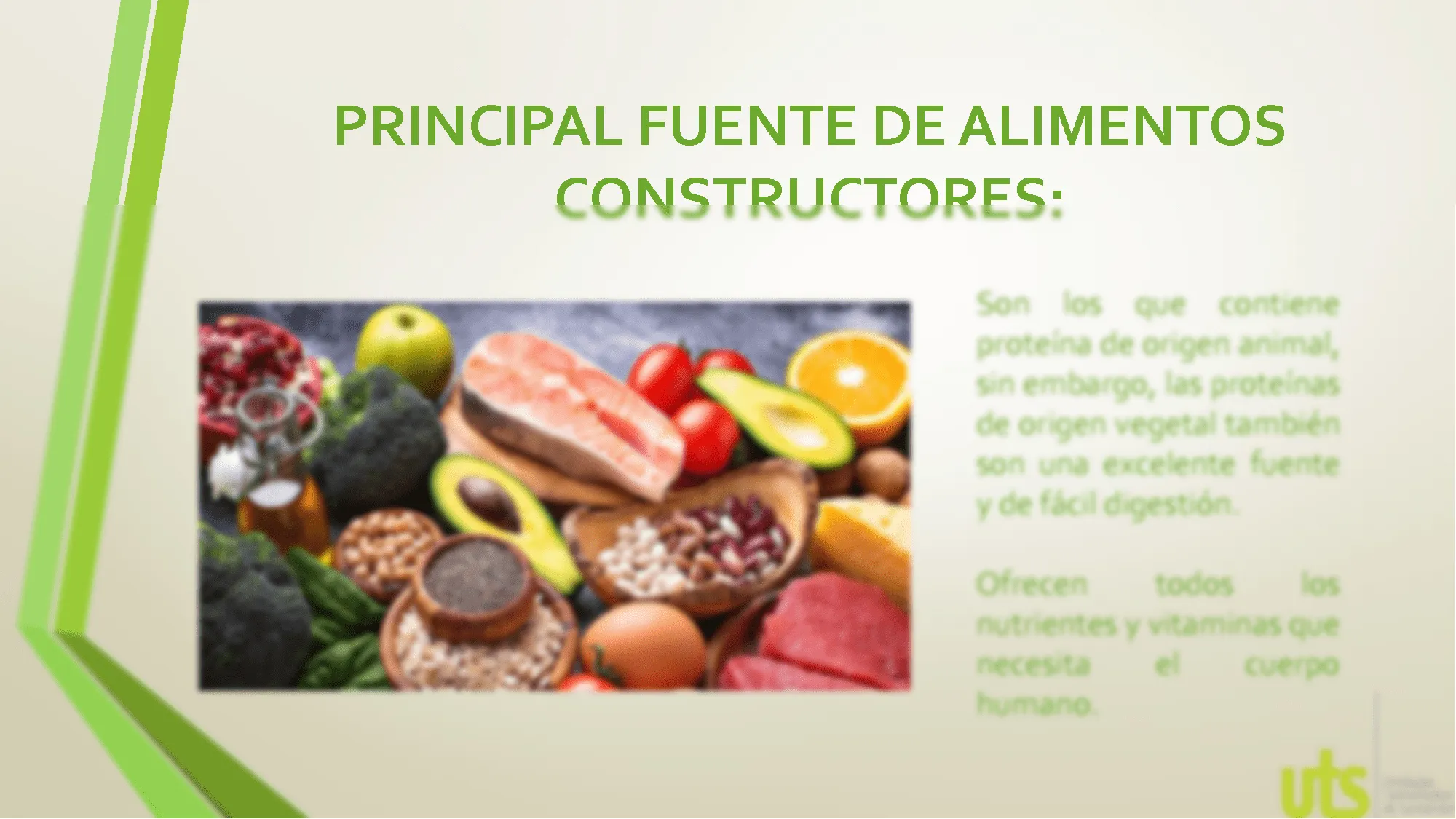 SOLUTION: Alimentos constructores - Studypool SOLUTION: Alimentos constructores - Studypool