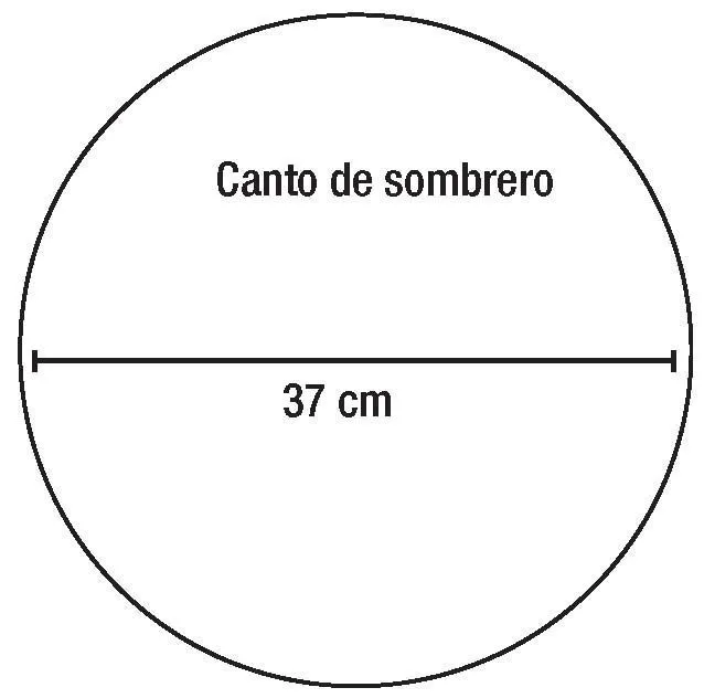 Sombrero divertido - Foro Manualidades para bodas - bodas.com.mx Sombrero divertido - Foro Manualidades para bodas - bodas.com.mx