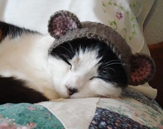 Sombrero para gatos | La Guarida Geek