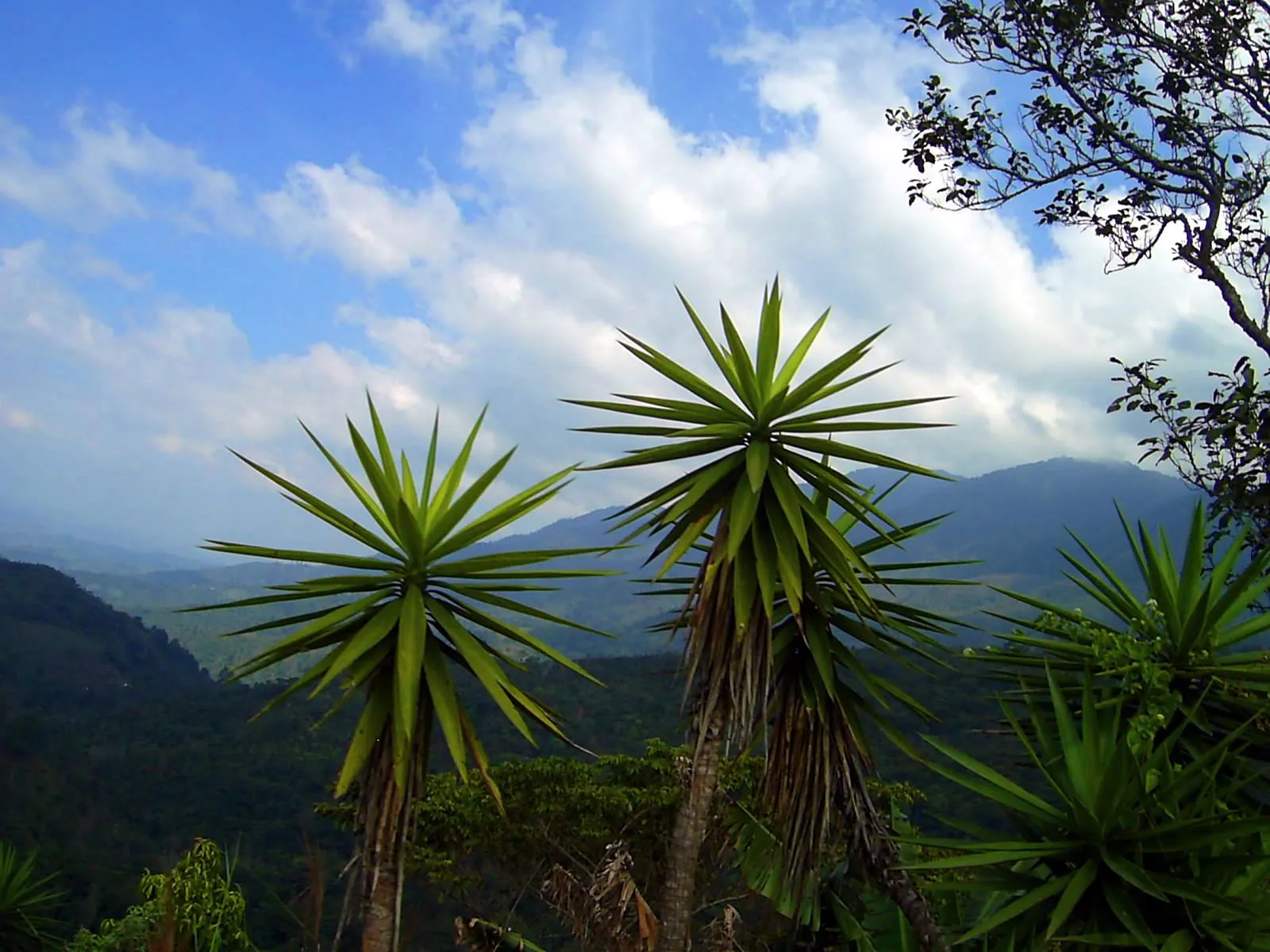 ... -Some things you just can’t capture with a photo—Río Negro ... -Some things you just can’t capture with a photo—Río Negro