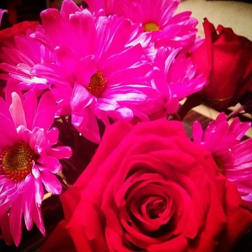 Someone brought me #flowers. #flores #rosas #rojas...