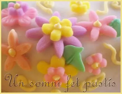 Somni Pastís: octubre 2008