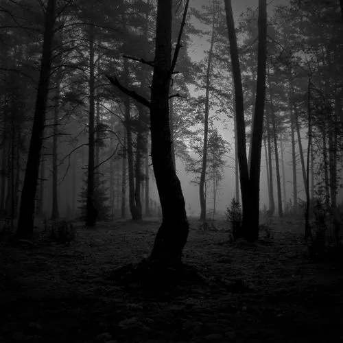 Fotos de paisajes de terror - Imagui