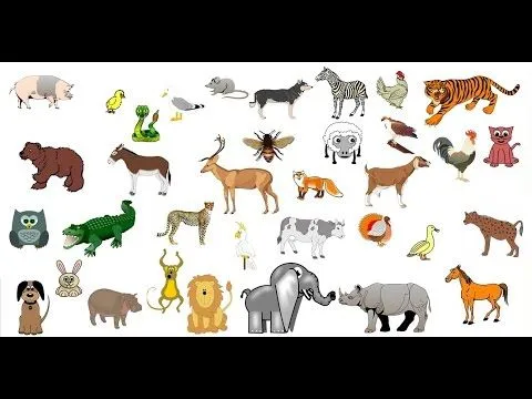 Los sonidos de los animales para niños de 1 a 5 años (ANIMADOS ... Los sonidos de los animales para niños de 1 a 5 años (ANIMADOS ...
