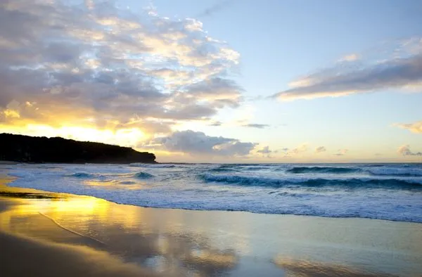 Sonidos del bosque para relajarse | Guía Fitness