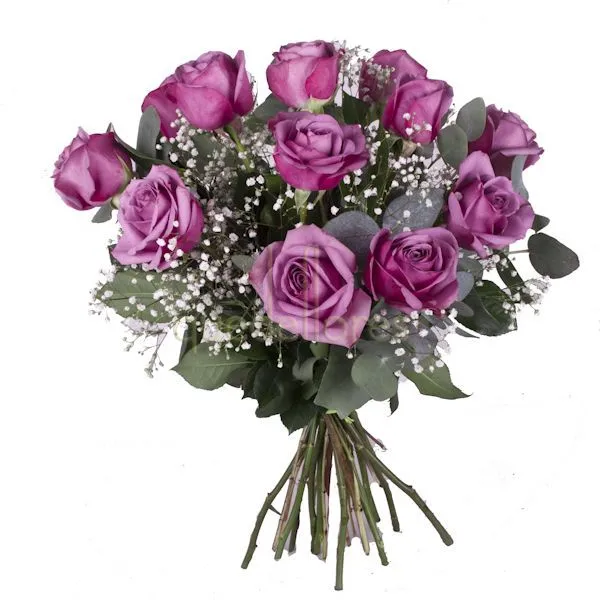 rosas moradas con frases de amor - Imageneitor rosas moradas con frases de amor - Imageneitor