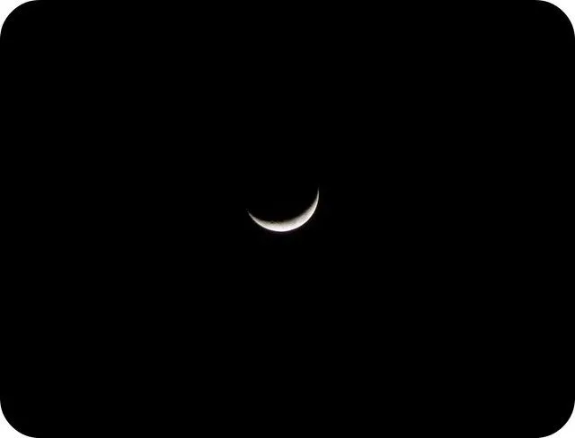 La sonrisa del gato de Cheshire | Flickr - Photo Sharing!