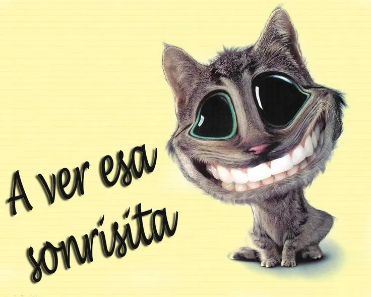sonrisas graciosas - Buscar con Google | TRABAJANDO | Pinterest ... sonrisas graciosas - Buscar con Google | TRABAJANDO | Pinterest ...