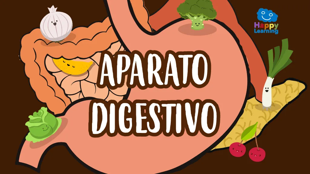 Sopa de Letras: El Aparato Digestivo - Juegos para Niños | Happy Learning Sopa de Letras: El Aparato Digestivo - Juegos para Niños | Happy Learning
