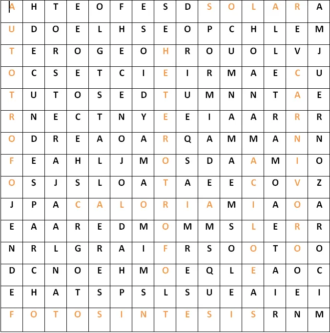 Sopa de letras dificiles de animales - Imagui