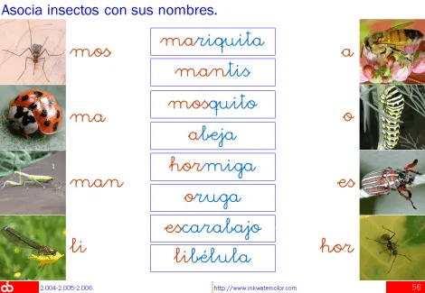 Sopas de letras y astronomía; Sumas y restas; Periódicos y ...