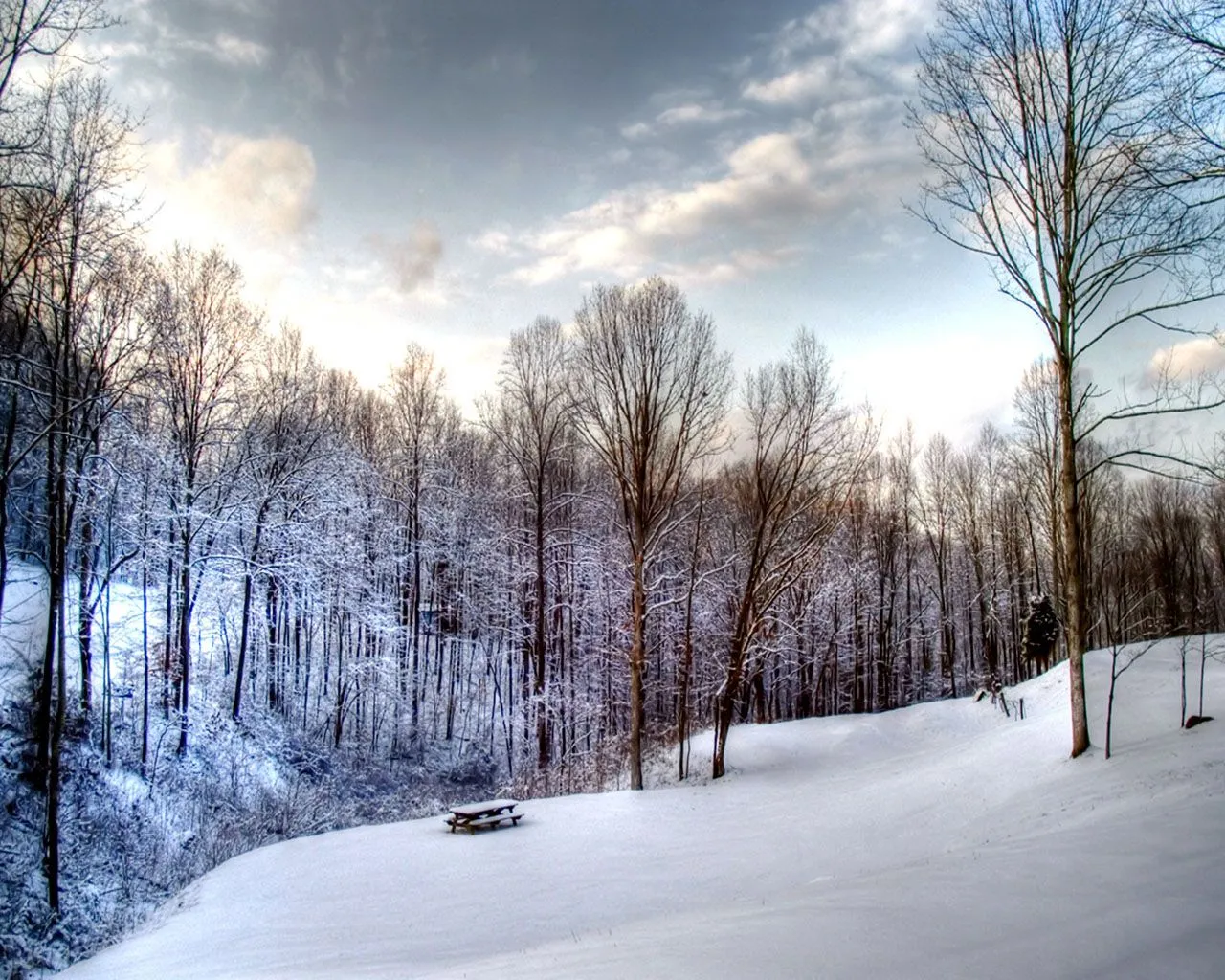 Sorprendentes Paisajes de Invierno