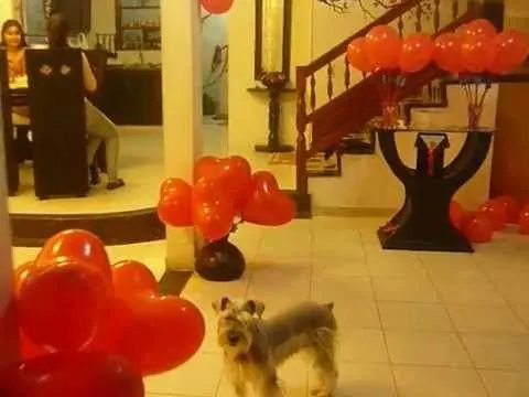 SORPRESA DE CUMPLEAÑOS PARA MI ESPOSO - YouTube