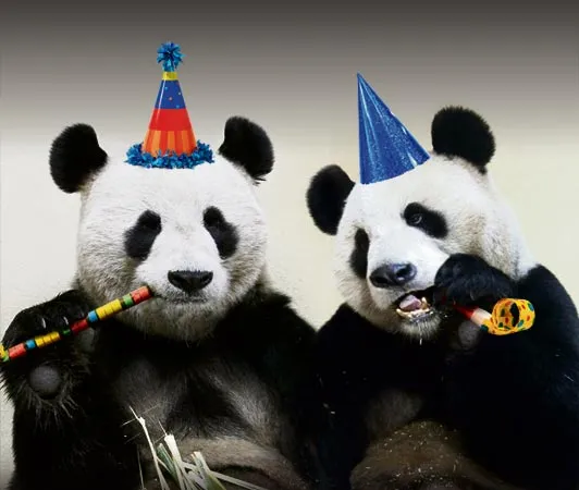 Sorteo de Junio: Alma Singer Sorteo de Junio: Alma Singer