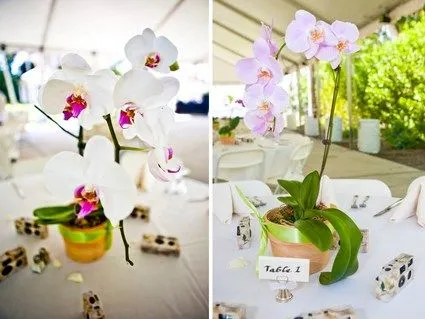 Macetas decoradas para la boda « Manualidades Macetas decoradas para la boda « Manualidades