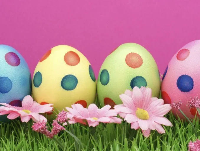 Spammer del Mes - ¡Los huevos de Pascua! [Marzo] - Archive - Spam ...