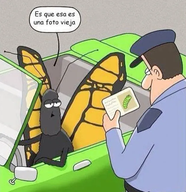 Spanish joke for kids, chiste #learning #spanish #kids… Spanish joke for kids, chiste #learning #spanish #kids…