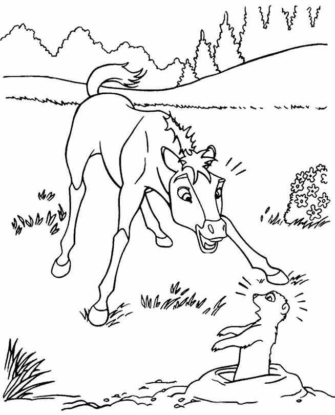 Spirit Dibujos para Colorear - DisneyDibujos.