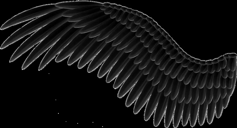Spread Black Wings PNG by Thy-Darkest-Hour on DeviantArt Spread Black Wings PNG by Thy-Darkest-Hour on DeviantArt