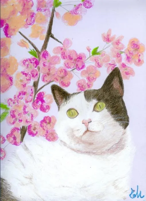 Spring Kitty Pastel by Elena Malec - Spring Kitty Fine Art Prints ... Spring Kitty Pastel by Elena Malec - Spring Kitty Fine Art Prints ...