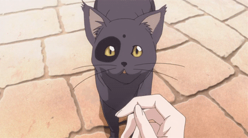 sr_gato espero que estés bien, te doy muestra de · @dark-21 · wocial sr_gato espero que estés bien, te doy muestra de · @dark-21 · wocial