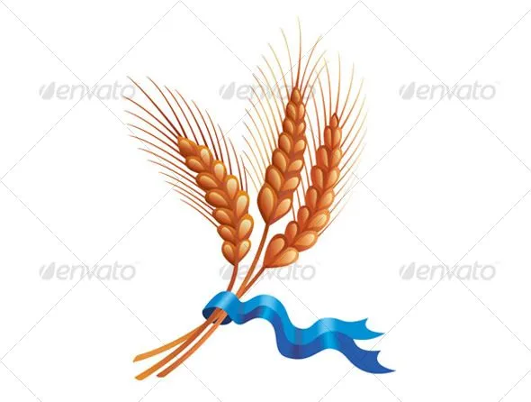 St Cajetan's Corner: August 2011