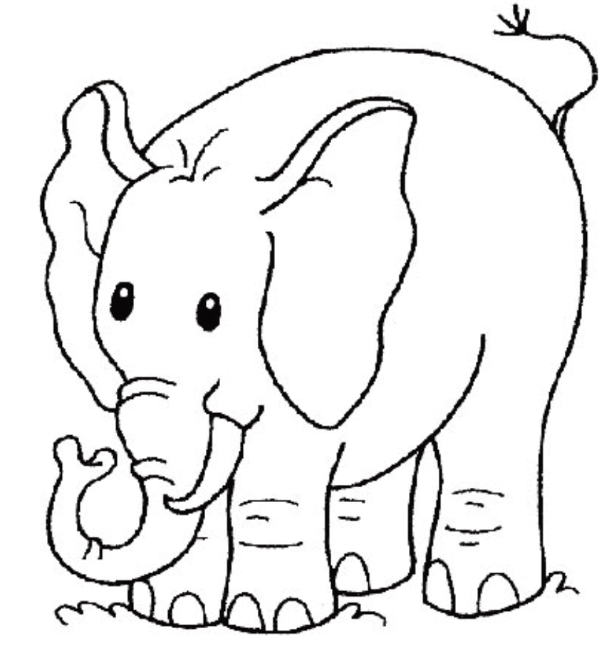 Stampa e colora: Elefante