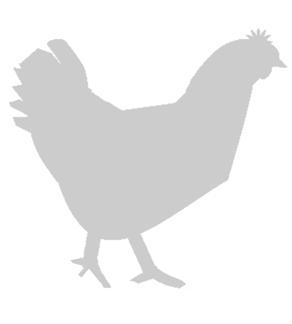 Stencil con disegnata una gallina | Donna e Casa Stencil con disegnata una gallina | Donna e Casa