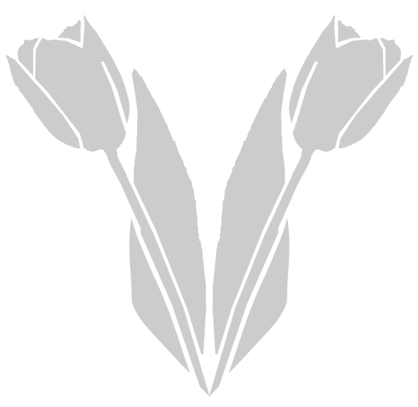 Stencil floreale, 2 tulipani | Donna e Casa