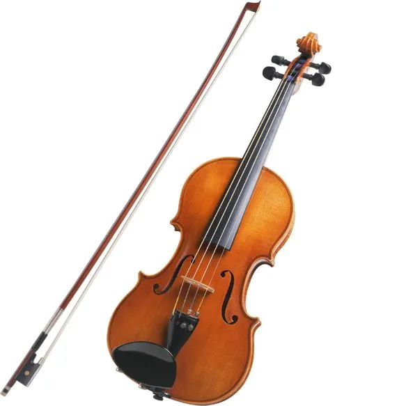 Stewart Family Chiropractic - The Violin