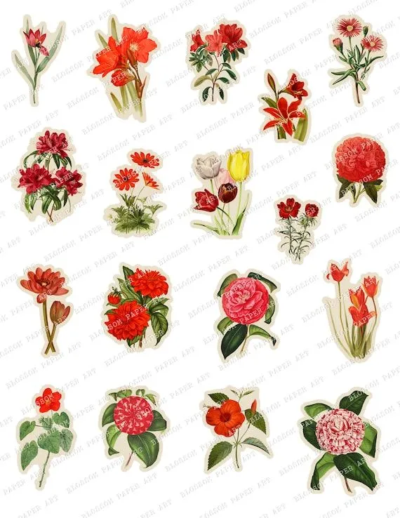 Stickers para imprimir FLORES VINTAGE Laminas Imprimibles - Etsy México Stickers para imprimir FLORES VINTAGE Laminas Imprimibles - Etsy México