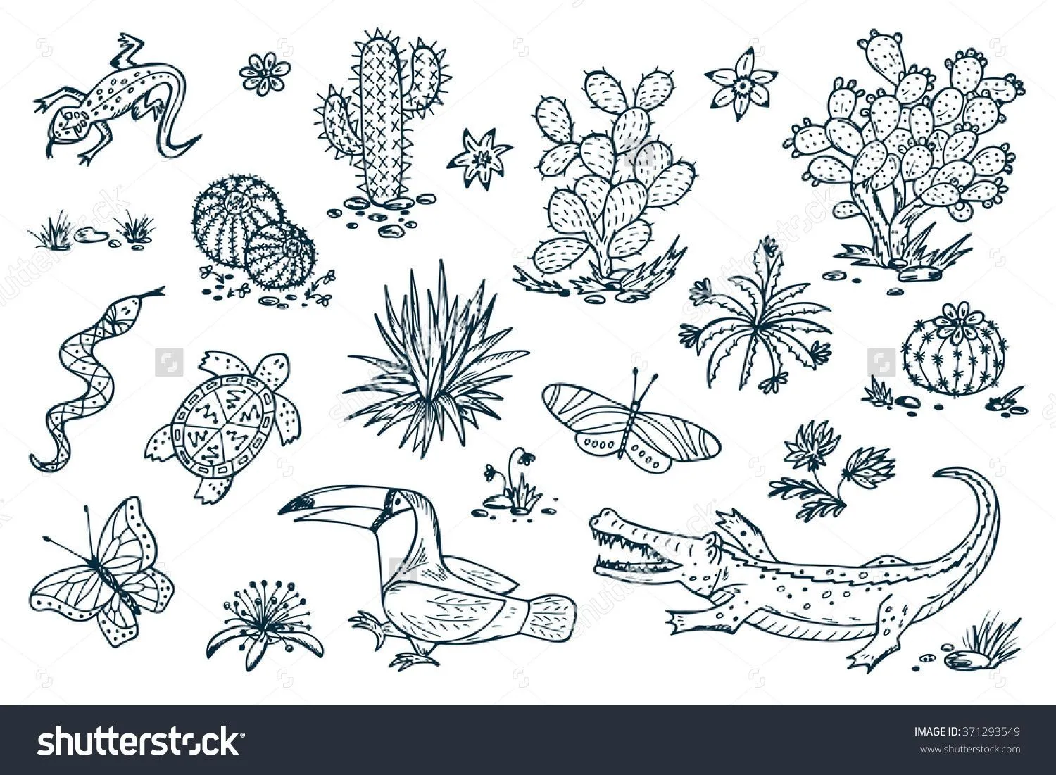 stock-vector-mexico-vector-set-mexican-flora-and-fauna-nature-of-mexico-plants-and-animals-hand-drawn-3712… | Dibujo de flora y fauna, Fauna, Animales para imprimir stock-vector-mexico-vector-set-mexican-flora-and-fauna-nature-of-mexico-plants-and-animals-hand-drawn-3712… | Dibujo de flora y fauna, Fauna, Animales para imprimir