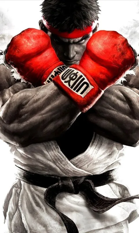 Street-Fighter-V-480x800.jpg