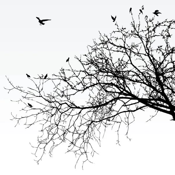 Sucursales — Vector stock © emirsimsek #3689167