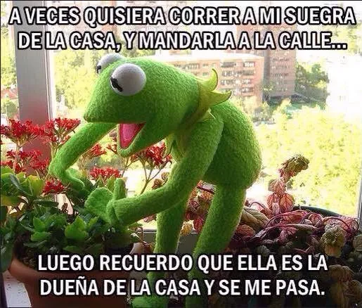 Suegra metiche!!!!! | Rene y Peggy | Pinterest Suegra metiche!!!!! | Rene y Peggy | Pinterest