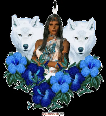 ... suelen encontrar los dos tipos de lobos, ¿quién queremos que gane ... suelen encontrar los dos tipos de lobos, ¿quién queremos que gane