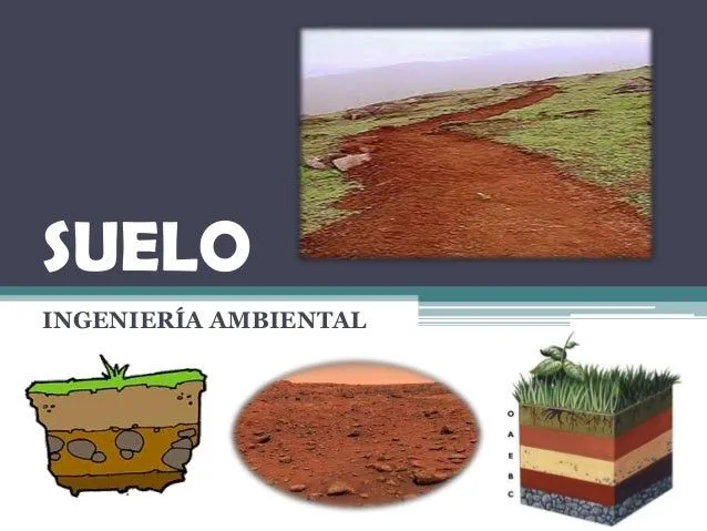 Suelo
