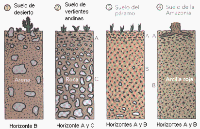 Suelo - Monografias.com