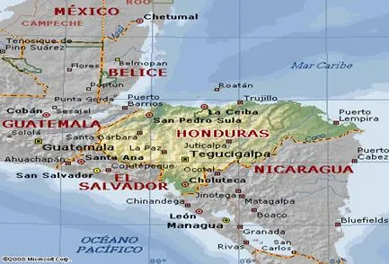 El suelo - Monografias.com