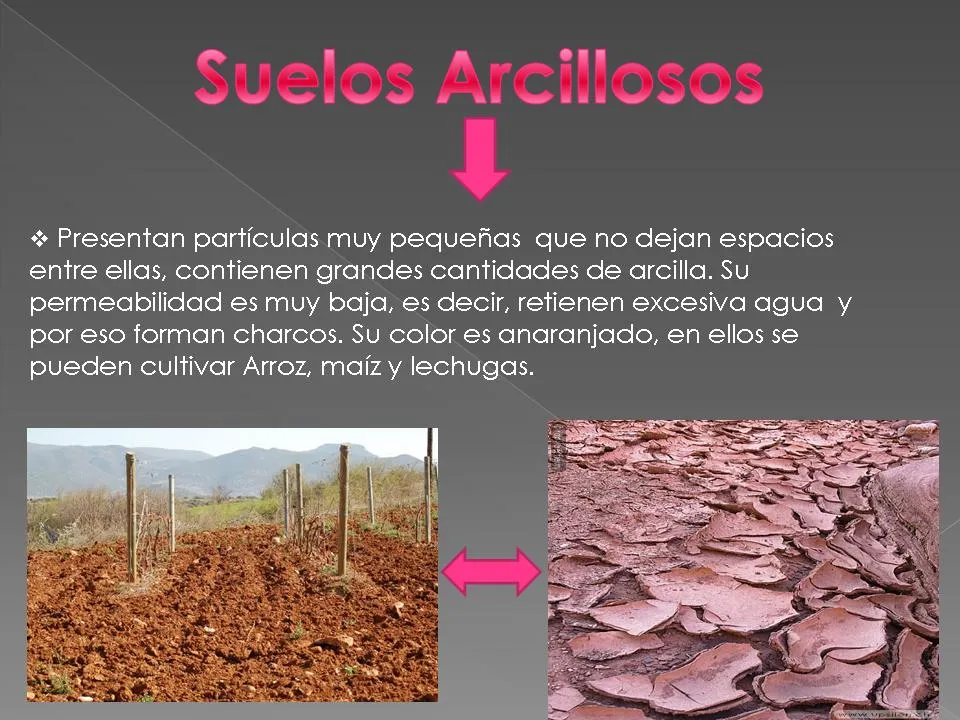 El suelo y sus tipos..