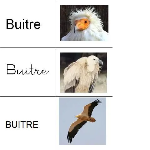 Un sueño compartido: EL PLANETA DE LAS PALABRAS QUE EMPIEZAN POR ...