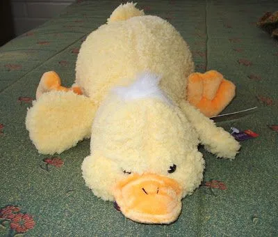 SUEÑOS DE COSAS IMPOSIBLES: enero 2009 SUEÑOS DE COSAS IMPOSIBLES: enero 2009