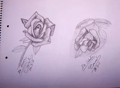 sueños_que_despiertan: Bocetos a lápiz: rosas y ojo sueños_que_despiertan: Bocetos a lápiz: rosas y ojo