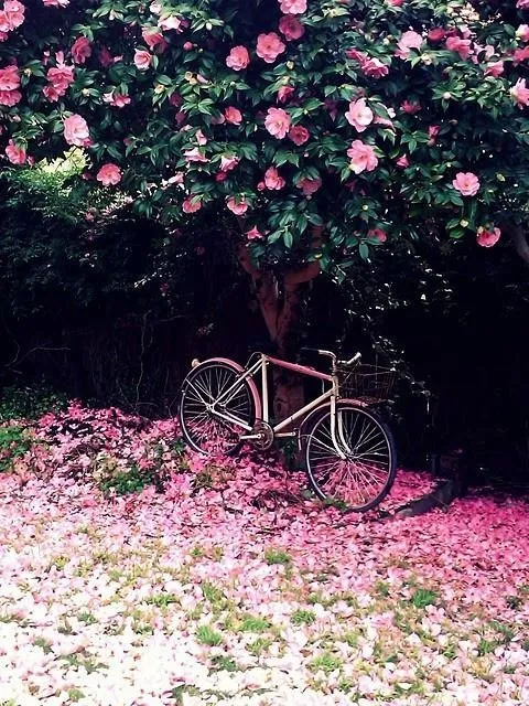 Summer | via Tumblr en We Heart It.... - Amores lejanos